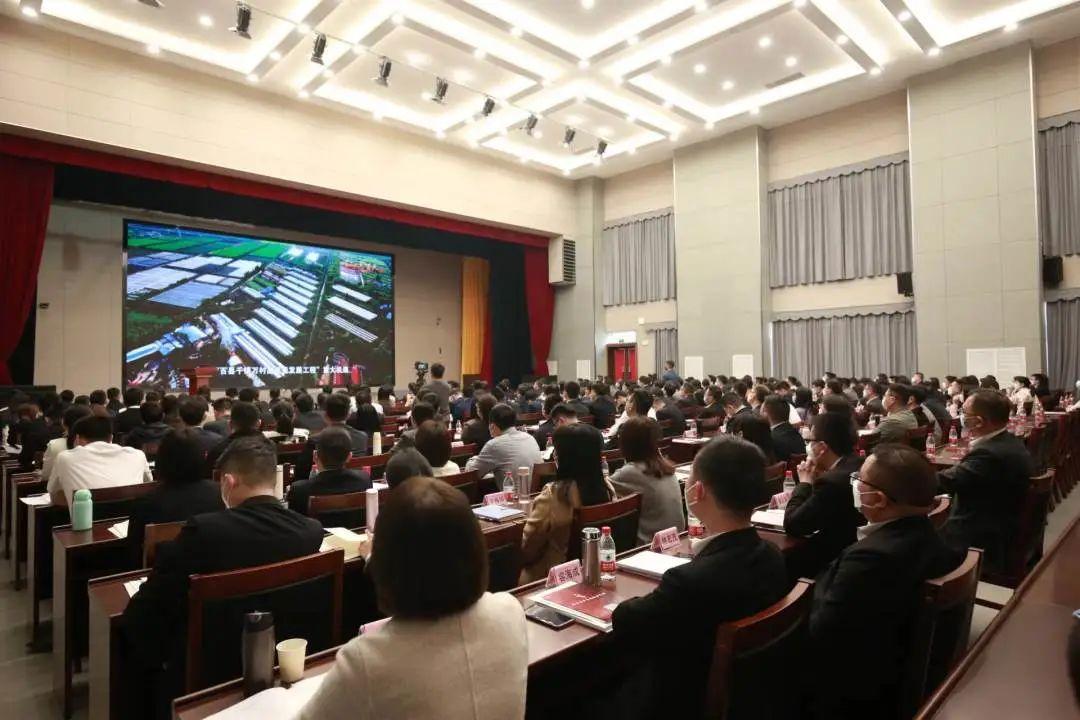 2025澳门免费精准大全实用释义、解释与落实