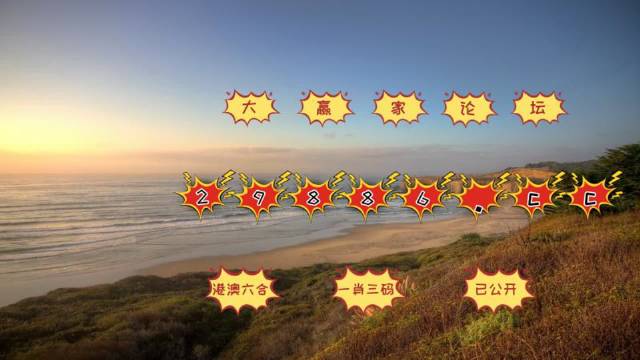 2025澳门天天开好彩大全体育,详细解答、解释与落实