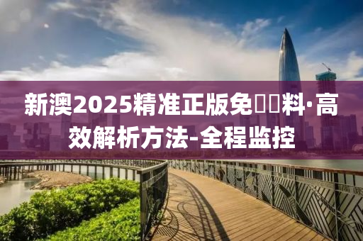 新澳2025精准正版免費資料,详细解答、解释与落实