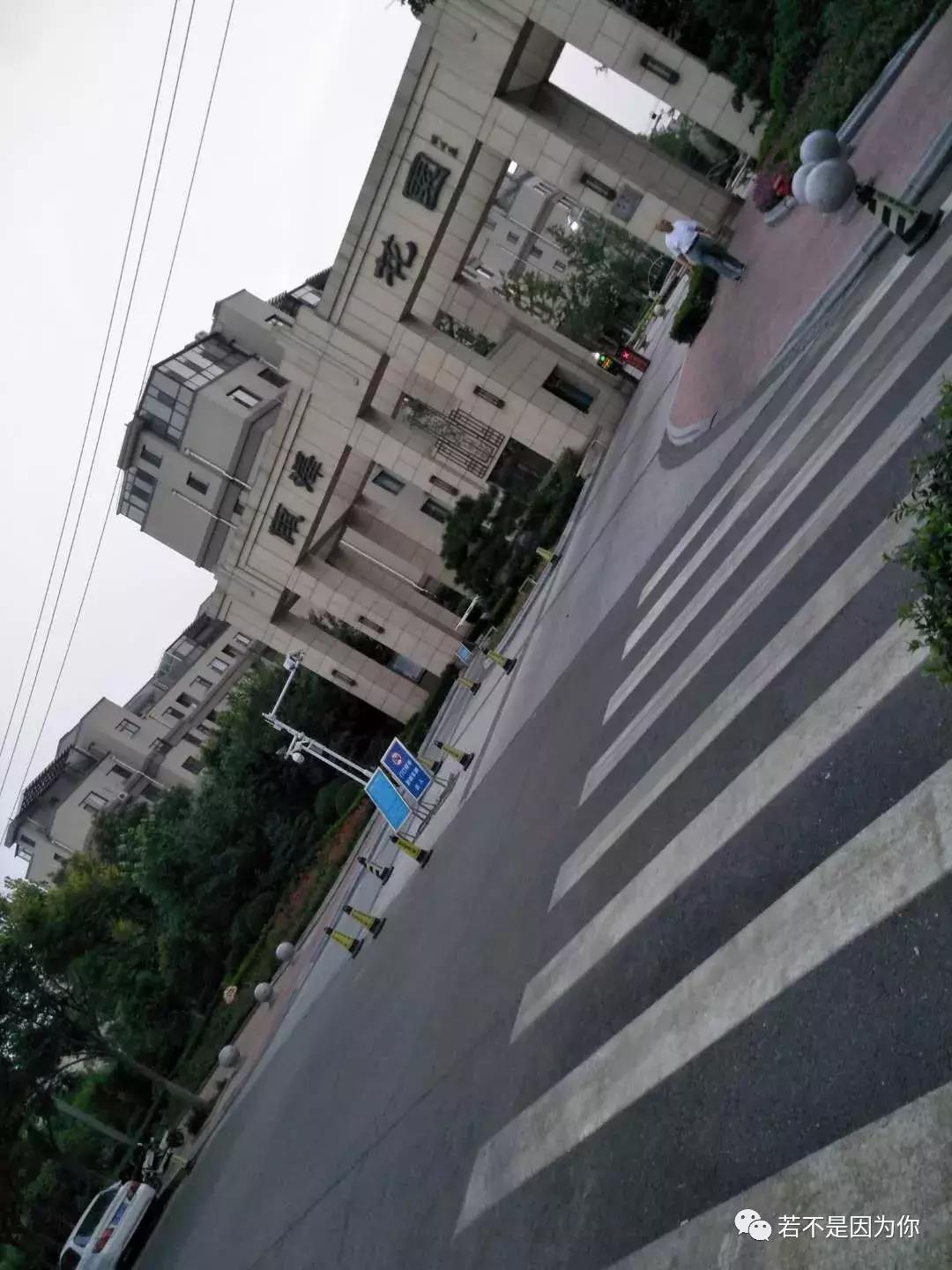推荐 第103页