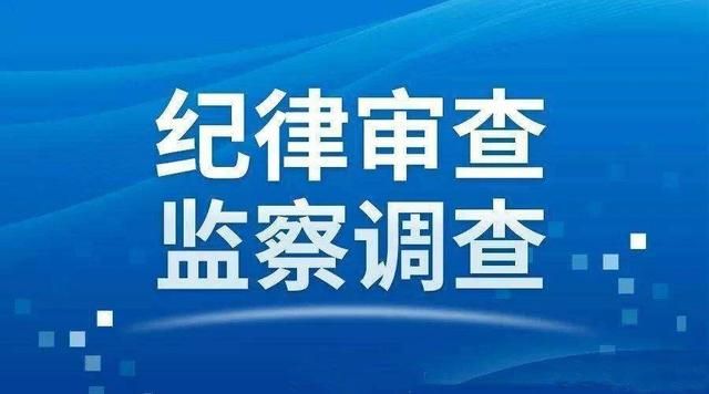 宜宾市向辉礼最新消息