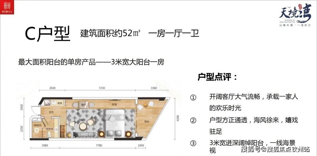 正版资料免费资料大全最新版本,详细解答、解释与落实