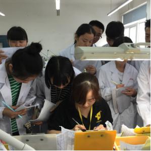 中国铁路人才网最新招聘信息
