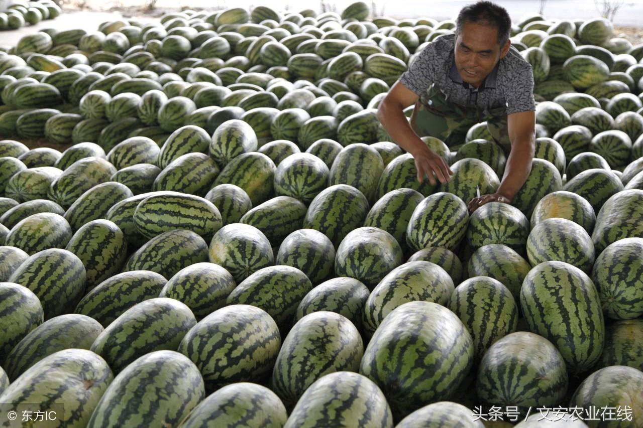陕西蒲城县最新新闻