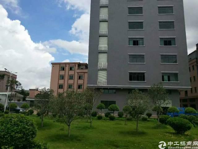 大朗毛织厂最新招聘