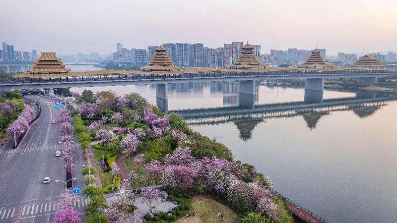 盐城观湖一号最新消息