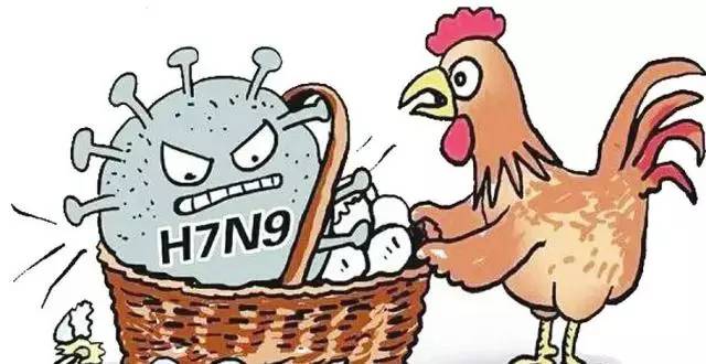 h1n9禽流感最新消息