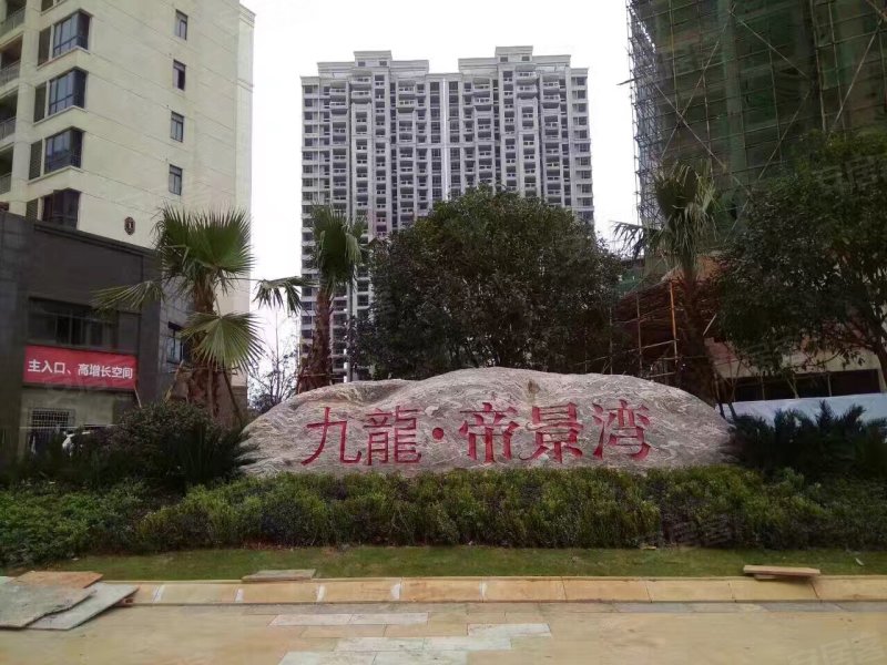 九龙帝景湾最新消息